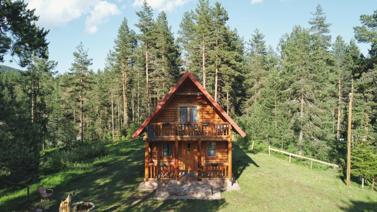 Holiday Home Aster Žabljak Exteriör bild